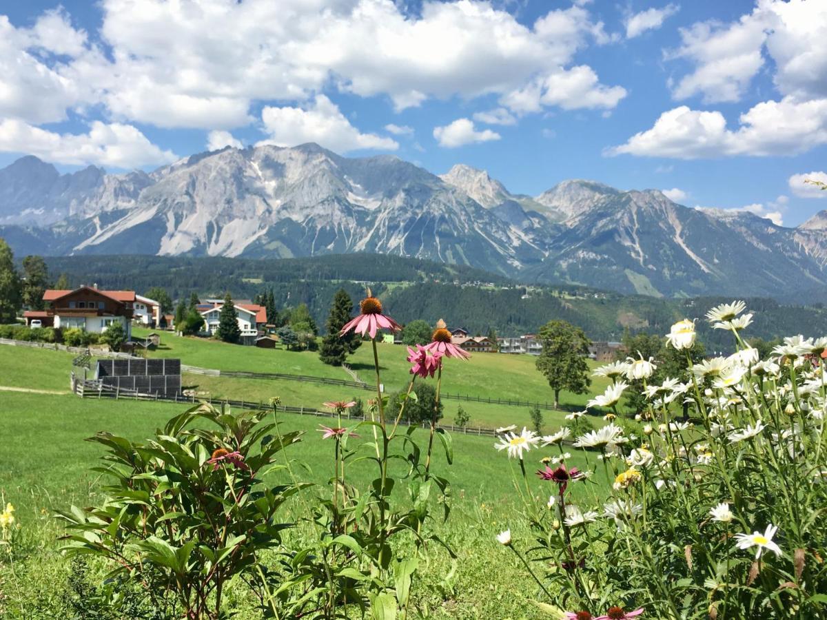 Top 12, Am Sonnenhang, Hochstrasse Schladming Dış mekan fotoğraf