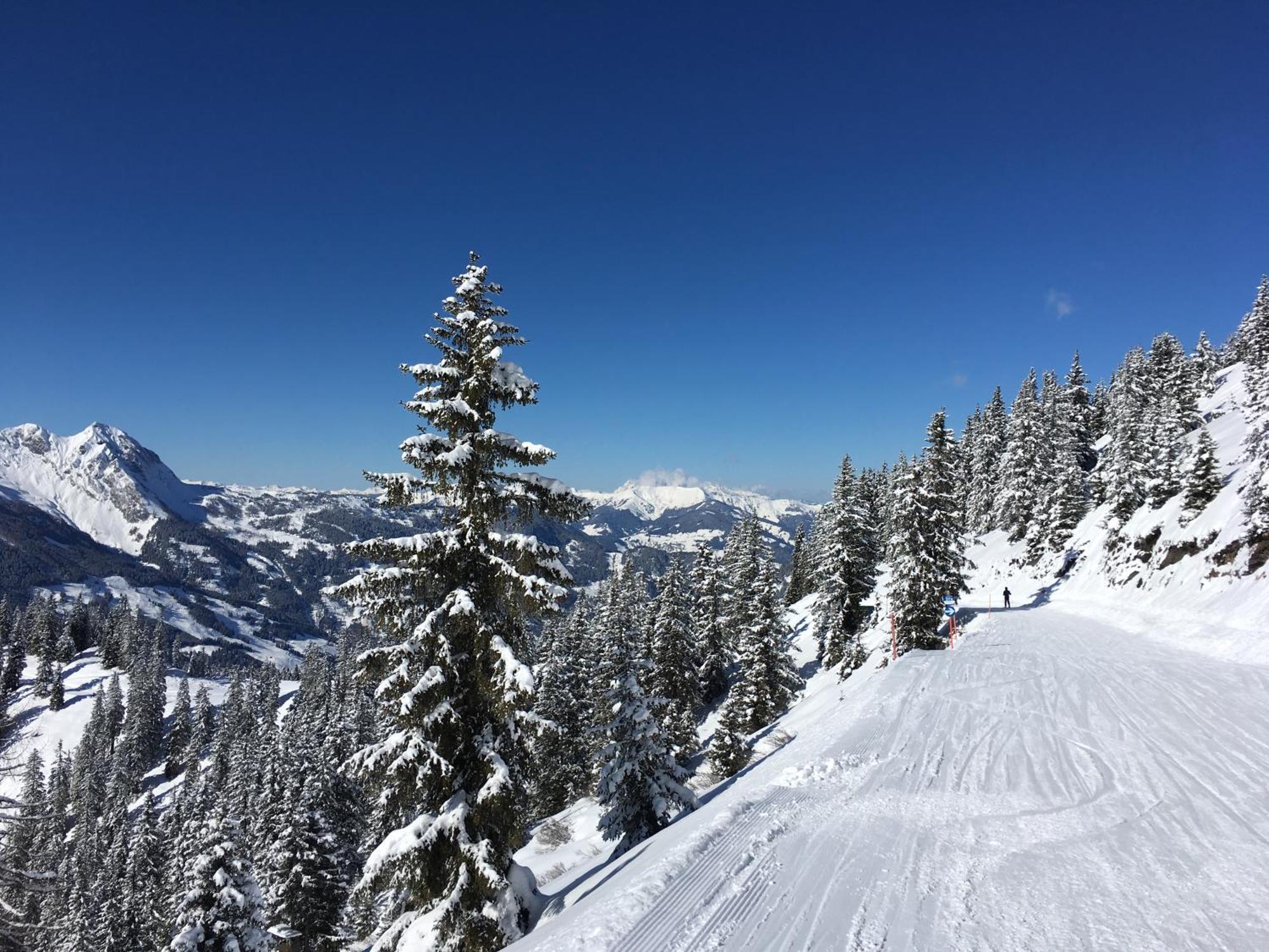 Top 12, Am Sonnenhang, Hochstrasse Schladming Dış mekan fotoğraf
